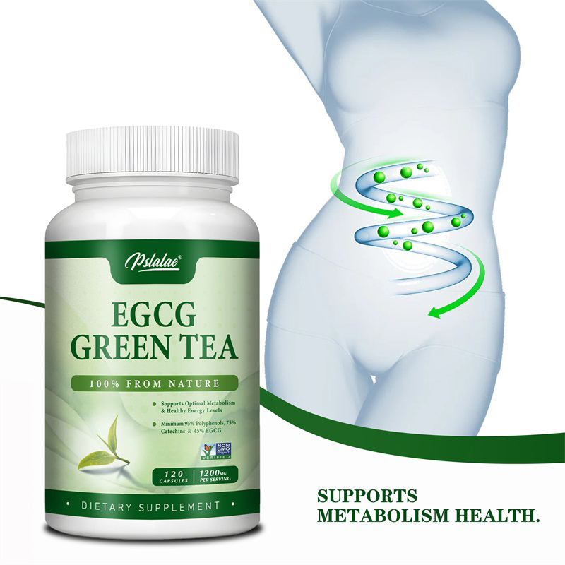 Green Tea Extract Fat - EGCG YEŞİL ÇAY ekstrakt-metabolizmayı artırır ve