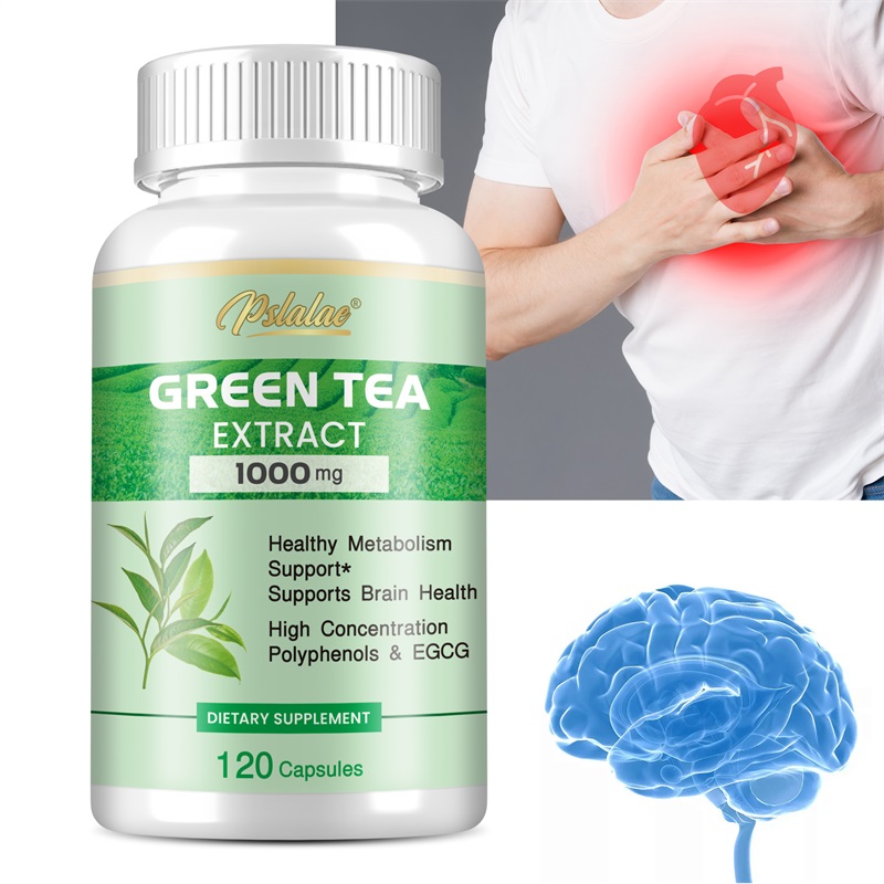 Green Tea Extract Fat - Yeşil Çay Ekstresi - %98 Polifenoller,