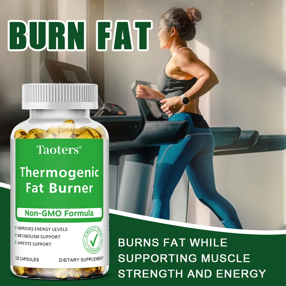 Yeşil Çay Ekstresi - Elma Sirk - Green Tea Extract Fat incelemesi ve fiyatı