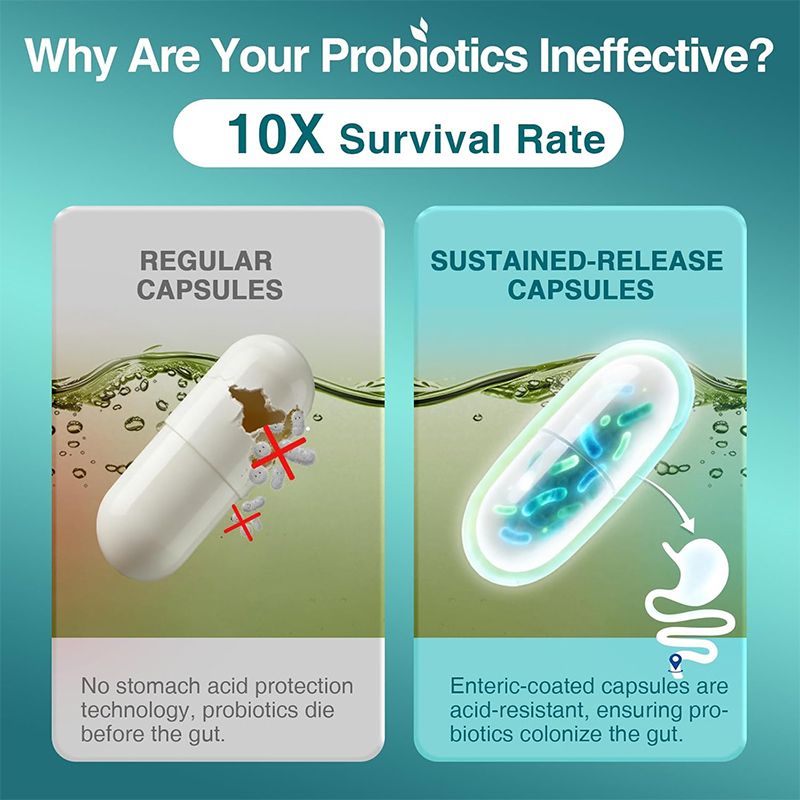Sindirim Sağlığı İçin Probiyot - Probiotic 60 Billion incelemesi ve fiyatı