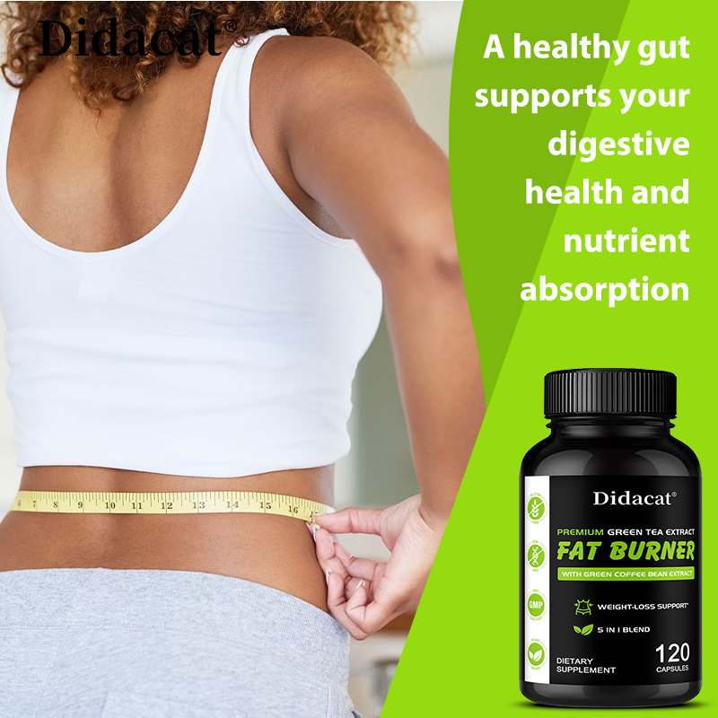 Garcinia Cambogia, Yeşil Çay E - Green Tea Extract Fat incelemesi ve fiyatı