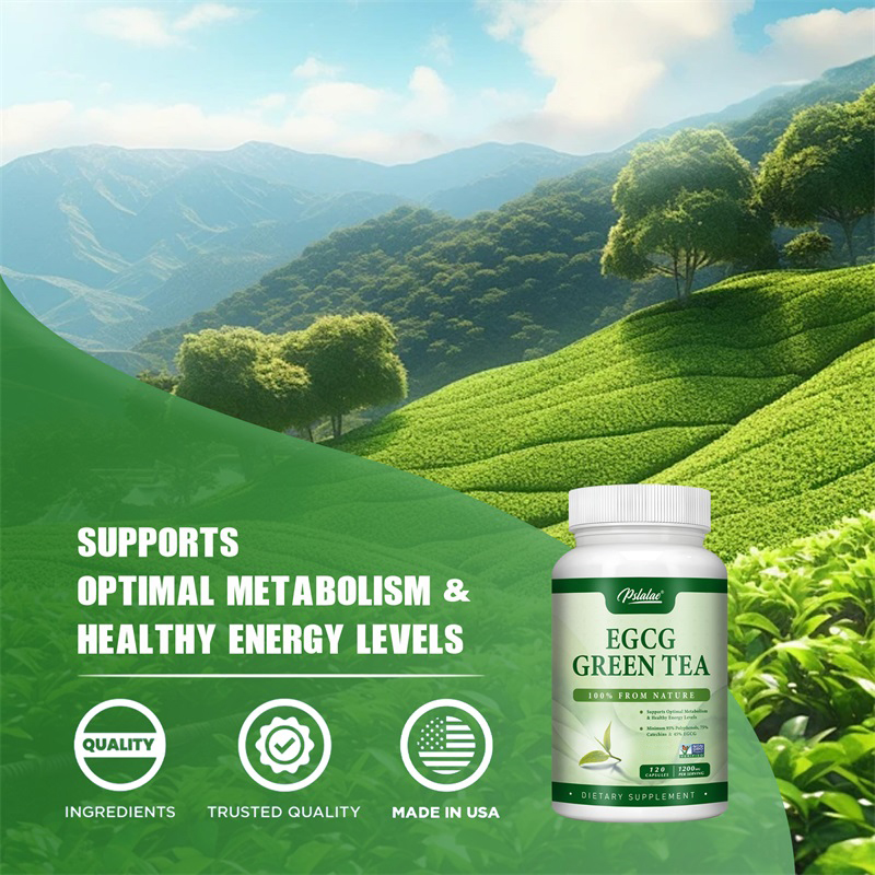 EGCG YEŞİL ÇAY ekstrakt-metabo - Green Tea Extract Fat incelemesi ve fiyatı
