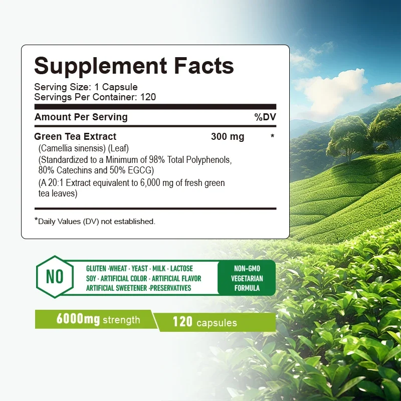 Yeşil Çay Kapsülleri - Göbek Y - Green Tea Extract Fat incelemesi ve fiyatı