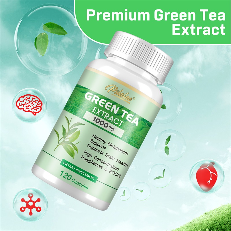 Yeşil Çay Ekstresi - %98 Polif - Green Tea Extract Fat incelemesi ve fiyatı