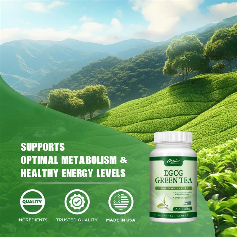 EGCG Yeşil Çay Ekstresi - Meta - Green Tea Extract Fat incelemesi ve fiyatı